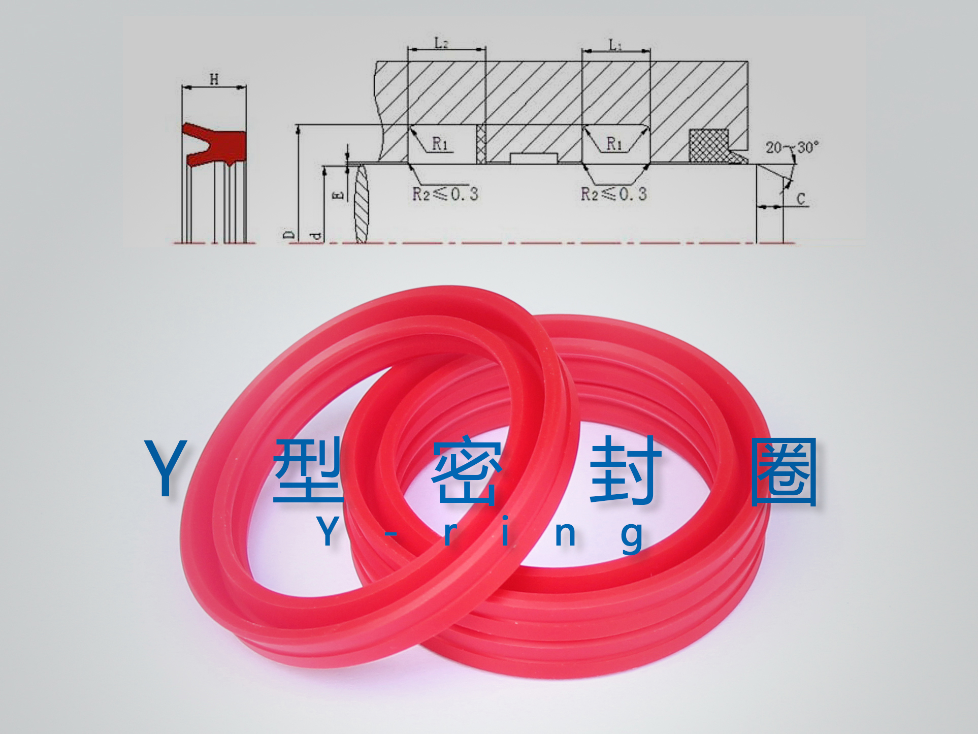 Y型密封圈（密封件、油封）與截面結構產品圖